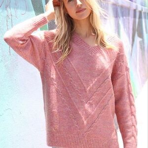 Lumiere Rose V Neck Sweater NWT